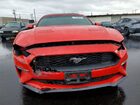 2019 Ford Mustang Red vin: 1FATP8UH4K5104610