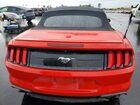 2019 Ford Mustang Red vin: 1FATP8UH4K5104610