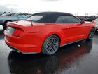 2019 Ford Mustang Red vin: 1FATP8UH4K5104610