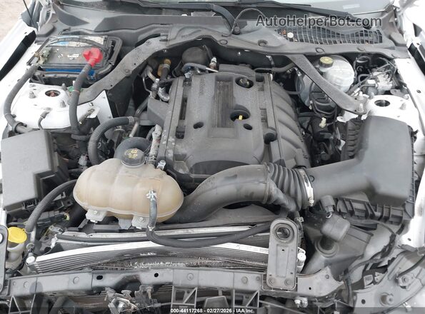 1FATP8UH6K5106522 2019 FORD MUSTANG Белый Вид сзади