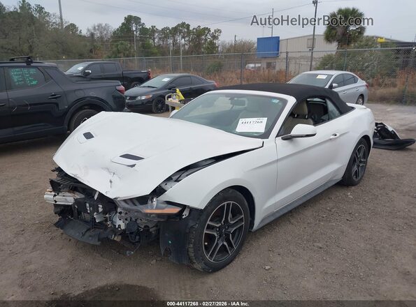 1FATP8UH6K5106522 2019 FORD MUSTANG Белый Вид задней части салона