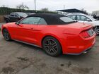 2019 Ford Mustang Red vin: 1FATP8UH9K5138512