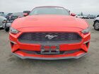 2019 Ford Mustang Red vin: 1FATP8UH9K5138512