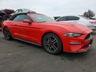 2019 Ford Mustang Red vin: 1FATP8UH9K5138512