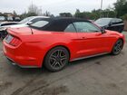 2019 Ford Mustang Red vin: 1FATP8UH9K5138512