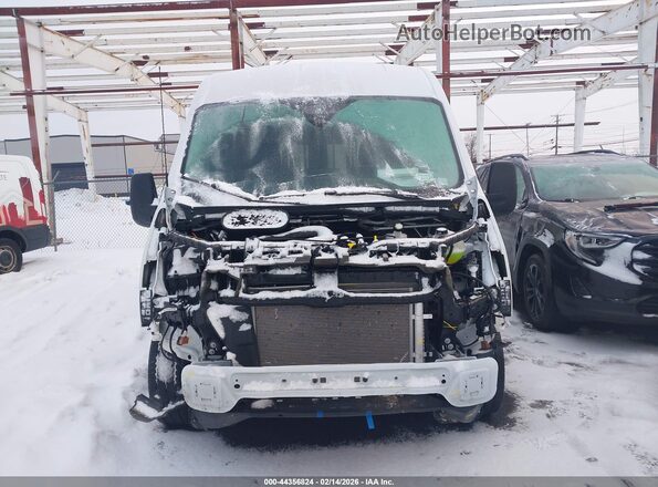 1FBAX2C8XRKB57487 2024 FORD PASSENGER Белый Вид задней части салона