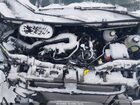 2024 Ford Transit-350 Passenger Van Xl Белый vin: 1FBAX2C8XRKB57487