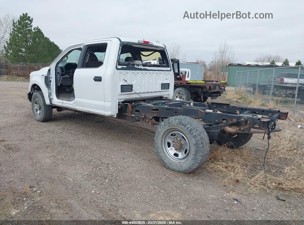 1FD7W2B67HEC90502 2017 FORD F-250 White Հետևի ձախ