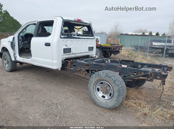 1FD7W2B67HEC90502 2017 FORD F-250 White 