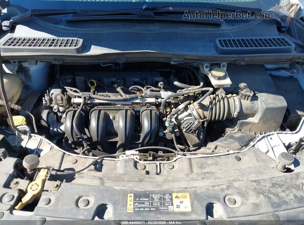 1FMCU0F72KUB79834 2019 FORD ESCAPE Белый Вид сзади