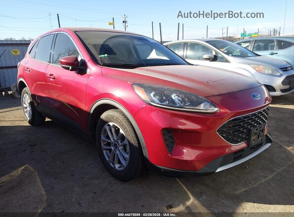 1FMCU0G64LUC62222 2020 FORD ESCAPE Красный Передняя правая четверть
