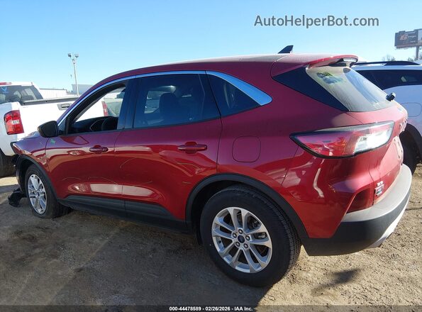 1FMCU0G64LUC62222 2020 FORD ESCAPE Красный Панорамный вид салона 360°