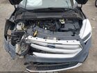 2019 Ford Escape Se Gray vin: 1FMCU0GD1KUB67226