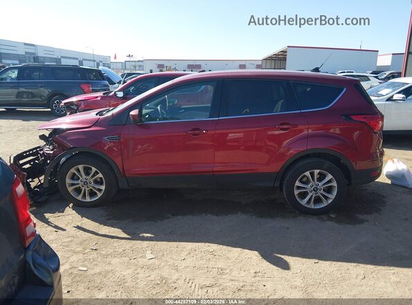 1FMCU0GD7KUB78084 2019 FORD ESCAPE Red სალონის 360-გრადუსიანი ხედი