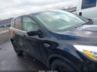 2019 Ford Escape Se Black vin: 1FMCU0GDXKUB22706