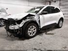 2024 Ford Escape Active Белый vin: 1FMCU0GN0RUB36522