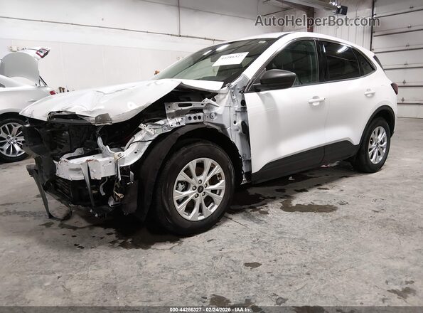 1FMCU0GN0RUB36522 2024 FORD ESCAPE Белый Передняя левая четверть