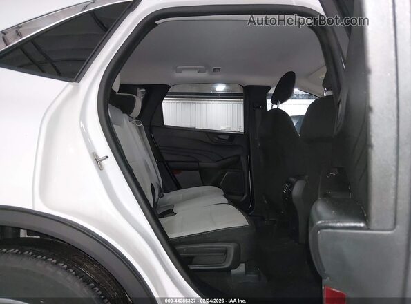 1FMCU0GN0RUB36522 2024 FORD ESCAPE Белый Вид наклейки с VIN-кодом