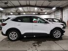 2024 Ford Escape Active Белый vin: 1FMCU0GN0RUB36522