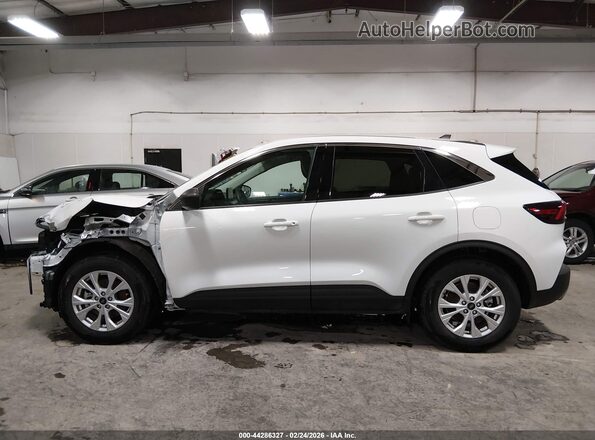 1FMCU0GN0RUB36522 2024 FORD ESCAPE Белый 