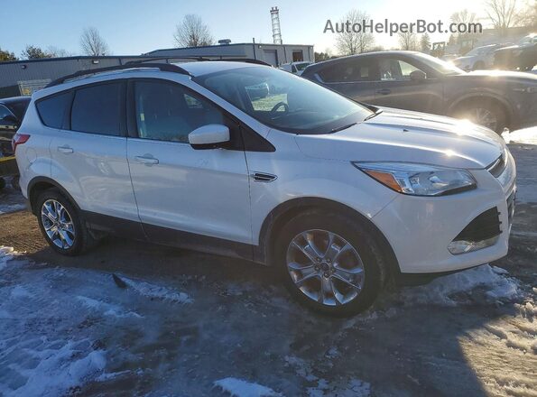 1FMCU0GXXGUA97341 2016 FORD ESCAPE White Առջևի աջ