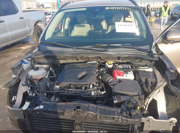 1FMCU0H63LUB45732 2020 FORD ESCAPE Кремовый Вид сзади