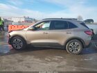 2020 Ford Escape Sel Кремовый vin: 1FMCU0H63LUB45732