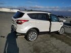 2019 Ford Escape Sel White vin: 1FMCU0HD8KUB04798