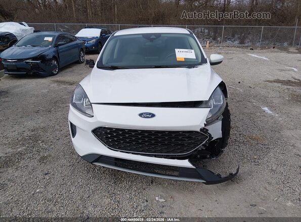 1FMCU9G62LUB84253 2020 FORD ESCAPE White Widok wnętrza z tyłu