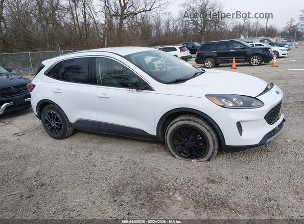 1FMCU9G62LUB84253 2020 FORD ESCAPE White Widok wnętrza 360 stopni