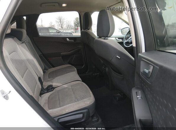 1FMCU9G62LUB84253 2020 FORD ESCAPE White Widok naklejki z numerem VIN