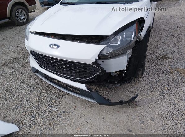 1FMCU9G62LUB84253 2020 FORD ESCAPE White Widok z przodu