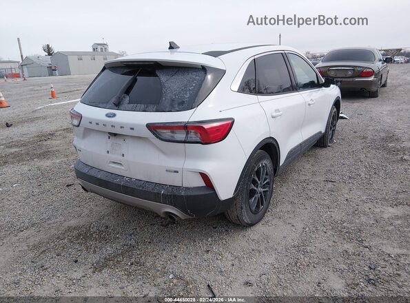 1FMCU9G62LUB84253 2020 FORD ESCAPE White Tył prawy