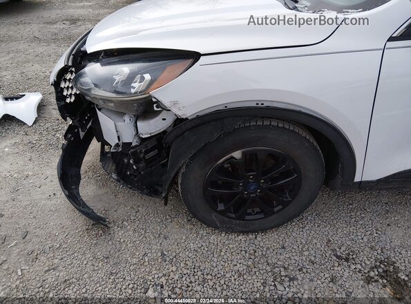 1FMCU9G62LUB84253 2020 FORD ESCAPE White 