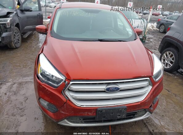 1FMCU9GD2KUC18222 2019 FORD ESCAPE Red Սարքավորումների վահանակի տեսք