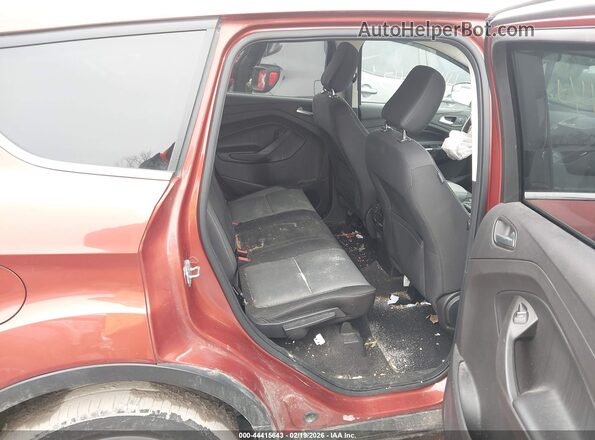 1FMCU9GD2KUC18222 2019 FORD ESCAPE Red VIN կոդի պիտակի տեսք