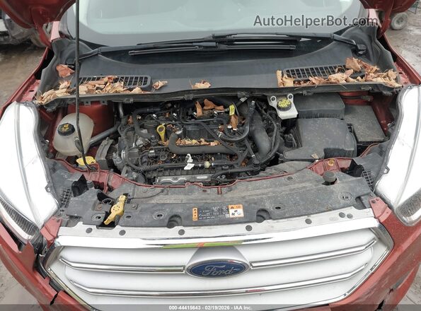 1FMCU9GD2KUC18222 2019 FORD ESCAPE Red Հետևի տեսք
