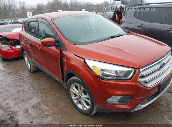 1FMCU9GD2KUC18222 2019 FORD ESCAPE Red Սալոնի հետևի տեսք