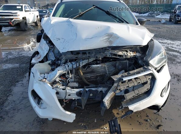 1FMCU9GD6KUC23682 2019 FORD ESCAPE Белый Вид спереди