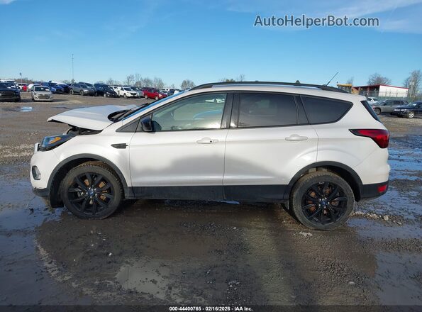 1FMCU9GD6KUC23682 2019 FORD ESCAPE Белый Вид задней части салона