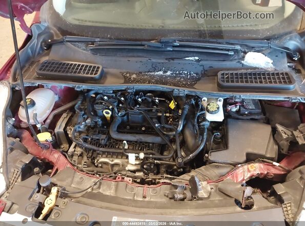 1FMCU9GD7KUA40811 2019 FORD ESCAPE Burgundy Widok z tyłu
