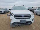 2019 Ford Escape Se White vin: 1FMCU9GD7KUB02935