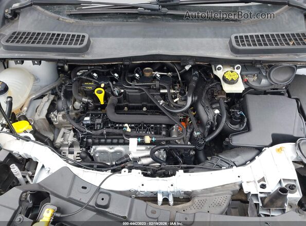 1FMCU9GD9KUB65325 2019 FORD ESCAPE White Widok z tyłu