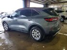 2024 Ford Escape Active Серый vin: 1FMCU9GN9RUB52982