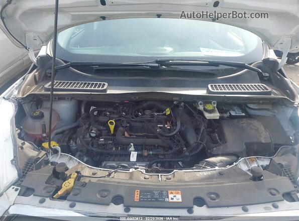 1FMCU9HD3KUB77047 2019 FORD ESCAPE Белый Вид сзади