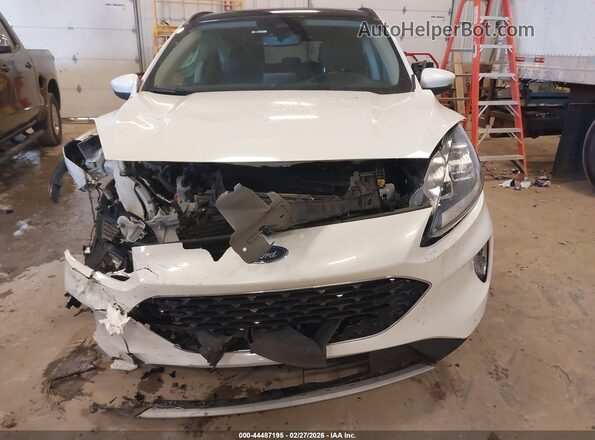 1FMCU9J95LUC13375 2020 FORD ESCAPE Белый Вид спереди
