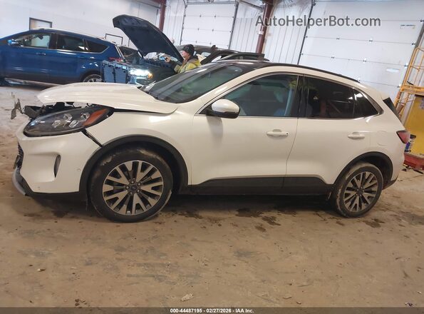 1FMCU9J95LUC13375 2020 FORD ESCAPE Белый Панорамный вид салона 360°