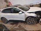 2020 Ford Escape Titanium Белый vin: 1FMCU9J95LUC13375