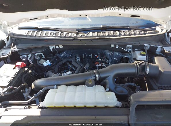 1FMJU1M85SEA51851 2025 FORD EXPEDITION Белый Вид сзади