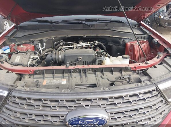 1FMSK7DH2RGA56274 2024 FORD FORD EXPLORER Red Вид ззаду
